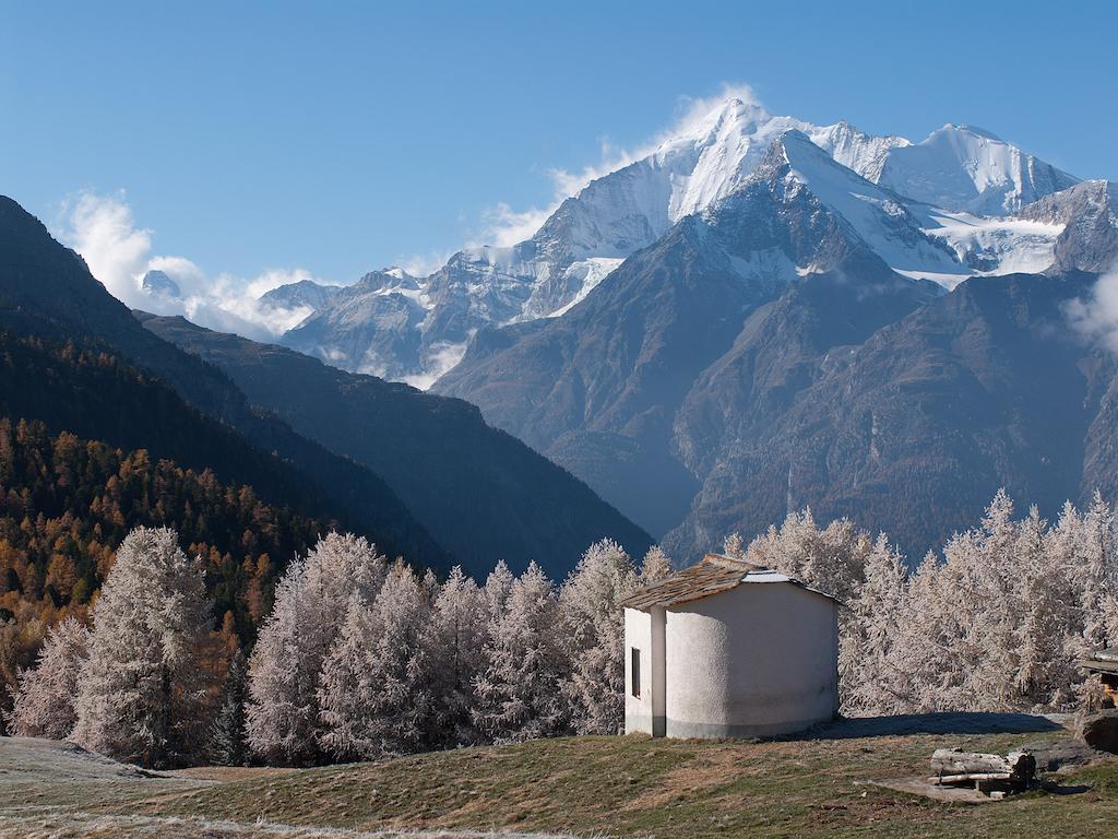 Chalet Soldanella Grächen Екстериор снимка